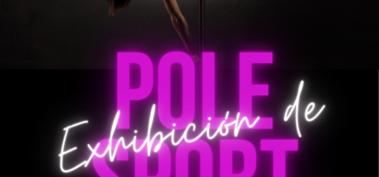 Imagen Exhibición de Pole Dance