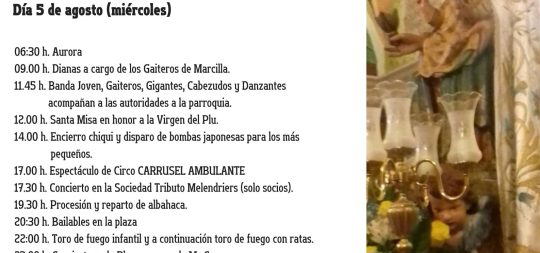 Imagen Fiestas en honor a la Virgen del Plu