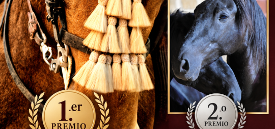 Imagen de la noticia: Ganadores del XI concurso de fotografía de la feria 2025
